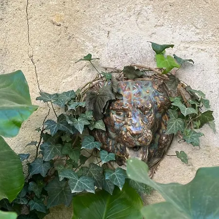 Face Au Palais * Avignon