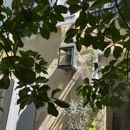 Face Au Palais Avignon