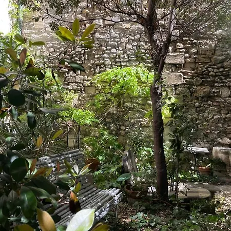 Face Au Palais Couette-café Avignon