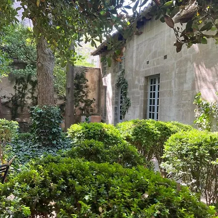 Face Au Palais Avignon